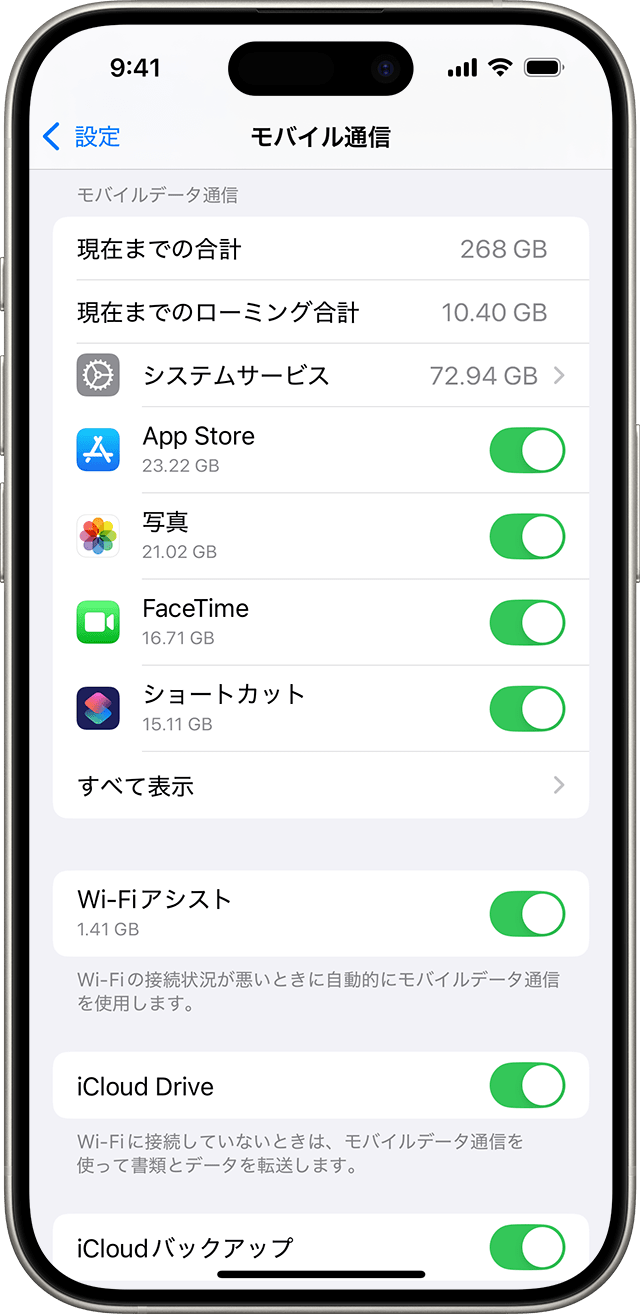 iOS データ使用量スクリーンショット